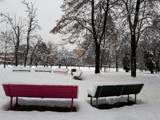 bench in the snow