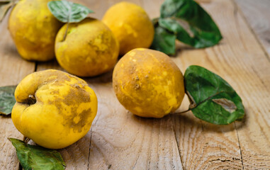 Fresh ripe quince fruits on a light wooden table. Close-up. Healthy Yellow Organic Quince, Cydonia oblonga