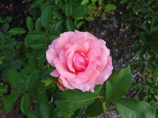 Paisajes Y Atardeceres