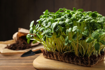 Fresh organic microgreen on wooden table, closeup view