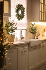 Beautiful kitchen decorated with potted firs. Interior design