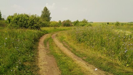 Fototapeta na wymiar The road through a village field in Russia.
