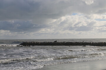 SAINTES MARIES DE LA MER