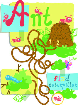 card ant labirint for kids find caterpillar