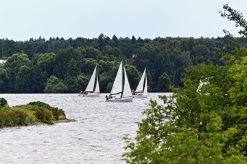 Three white sailing yacht with white saisl floating on Moscow Canal river on green trees on shores background at summer day, water tourism recreation