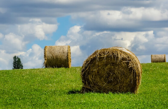 Bales of hay in a field adjacent to Pitsford Reservoir, UK on a summers day