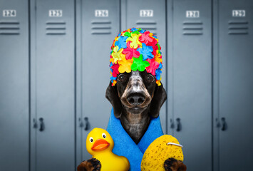 dog swim cap and goggles in locker room