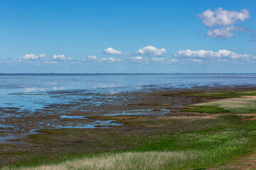 Sylt - View to nature reserve at Wadden Sea nearby Kampen / Germany