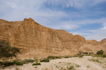 Fototapeta na wymiar the way to Wadi Parak in Israel.