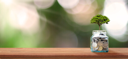Financial business background. Planting a tree on a coin bottle and wood floor. Financial and investment growth ideas.