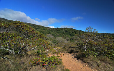 Auf einer Wanderung im Nationalpark Rincon de la Vieja in Costa Rica
