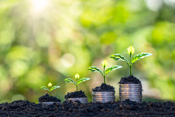 The growing tree on the coin represents the concept of business growth, money growth and saving...
