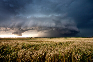 Prairie Storm Clouds Canada