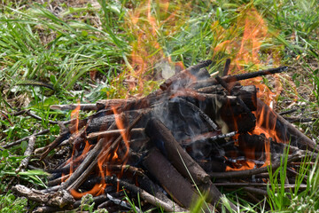 wood and fire for the barbeque