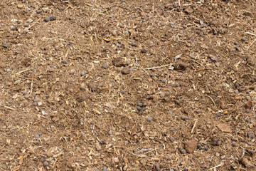 Close Up of a pile of sheep feces.