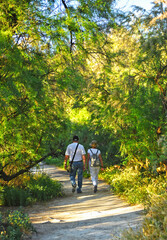 Hike in Tablas de Daimiel National Park, Ciudad Real province, Castilla la Mancha, Spain