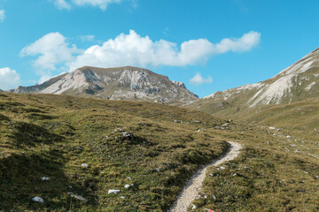 Fototapeta premium A narrow pathway along a high plateau in Italian Dolomites. Stony landscape, with a bit of green grass. High mountain chains in the back. Desolated and remote landscape. Natural habitat. A few clouds