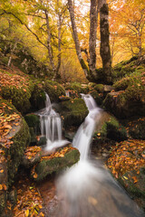 Obraz na płótnie Canvas Amanecer en montes y hayedos en otoño