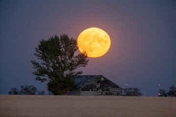 Prairie Full Moon