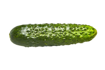Gherkin isolated on white background