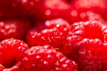 fresh red raspberry background, juicy berries