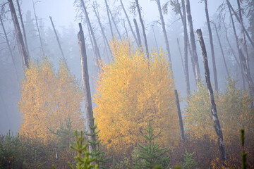 Autumn Northern Saskatchewan