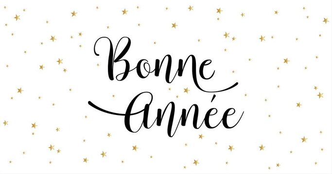 Happy New Year celebration card with fireworks for mailing, web invitation, greeting cards&hellip; animation made in 4K vector design. White background and french text : BONNE ANNEE