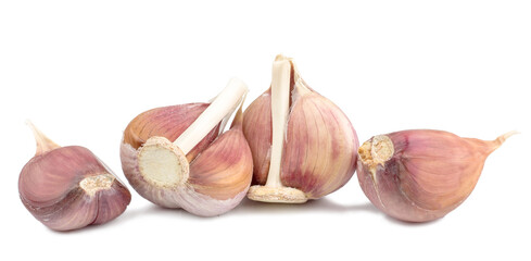 Garlic on white background isolated