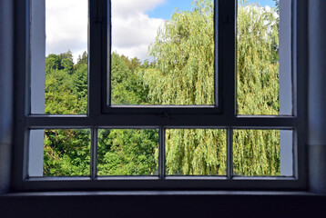 Fenster mit Ausblick auf Bäume