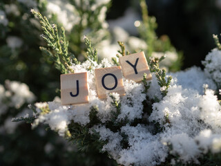 joy - napis z drewnianych kostek, ułożony w śniegu, język angielski  © Klaudia Baran