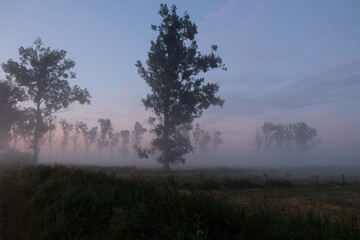 Fototapeta na wymiar Drömling im Nebel
