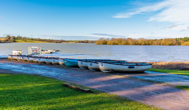 A queue of rowing boats on the shoreline of  Pitsford Reservoir, UK on a sunny day