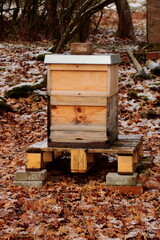 Bienenstock im Winter mit Schnee bedeckt