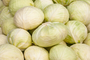 Fresh green cabbages in a market. Vegetable.