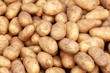 Potatoes on sale at a farmers market stall