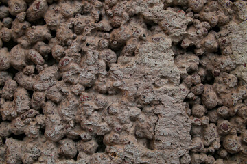 Old wall texture background brown with stones and bubbles of expanded clay