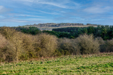 Fototapeta na wymiar a bright scenic view across multiple woodlands to a distant woodland topped hill with blue sky