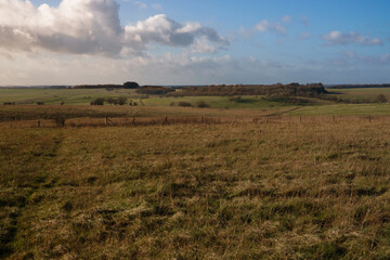 Obraz premium beautiful autumn view over a small parkland valley to a distant woodland with a blue sky, wiltshire plain