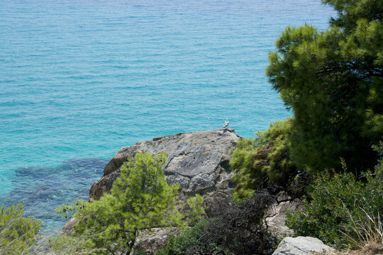 sea and rocks