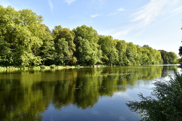 Reflet majestueux des arbres au Grand Canal du parc d'Enghien en Hainaut 