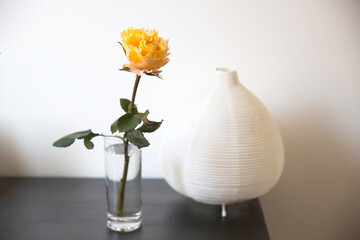 The bouquet of one orange rose in a glass vase with the lamp on the black table