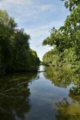 Fototapeta na wymiar La nature sauvage du Grand Canal du parc d'Enghien en Hainaut