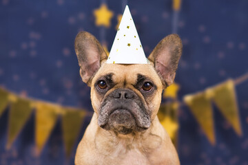 Cute French Bulldog dog wearing New Year's Eve party celebration hat in front of blue background...
