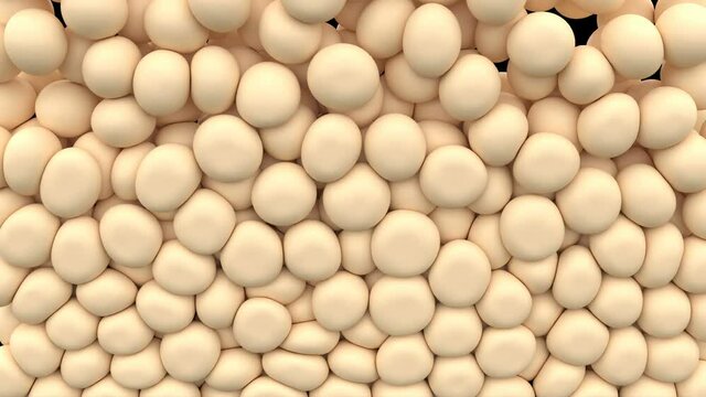 3d fat cells for medical concept Science animation serum through the skin 4k