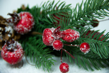 Fototapeta na wymiar christmas tree branch and red pomegranate on a white background