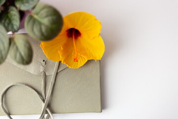 Flor, planta y cuaderno