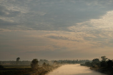 Wolken und Schwalben