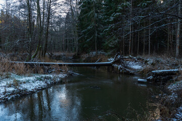 in winter a river in the woods with trees in the water