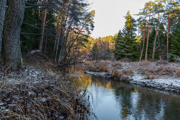 in winter a river in the woods with trees in the water