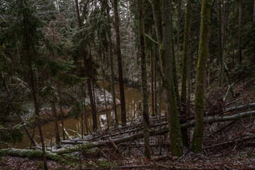 in winter a river in the woods with trees in the water